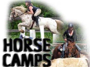 Horse camp image
